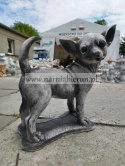 Figurka betonowa PIES CHIHUAHUA stojący 32 cm