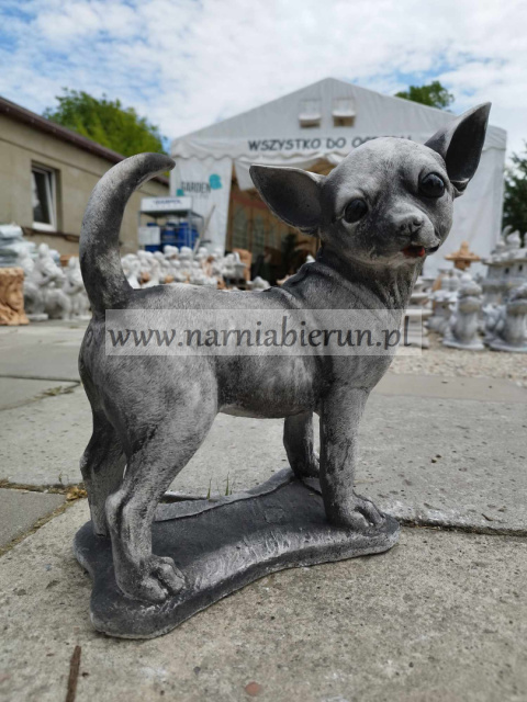 Figurka betonowa PIES CHIHUAHUA stojący 32 cm