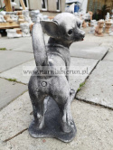 Figurka betonowa PIES CHIHUAHUA stojący 32 cm