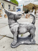 Figurka betonowa PIES CHIHUAHUA stojący 32 cm