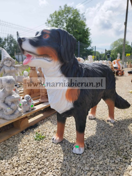 Figurka ogrodowa Pies pasterski bernejski BERNEJCZYK 38 cm