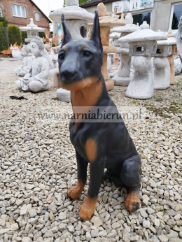 Figurka z żywicy Pies Piesek Doberman 38 cm