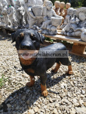 Figurka z żywicy Pies Piesek Rottweiler stojący 35 cm