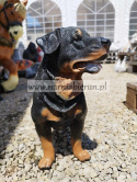 Figurka z żywicy Pies Piesek Rottweiler stojący 35 cm