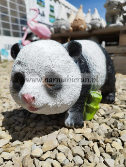 Figurka z żywicy Panda mała z bambusem 30 cm