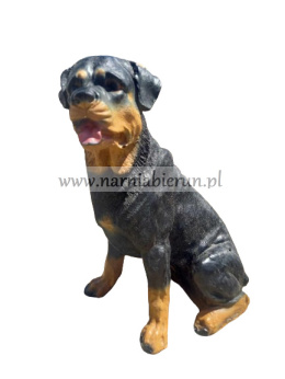 Figurka z żywicy Pies Piesek Rottweiler siedzący 35 cm