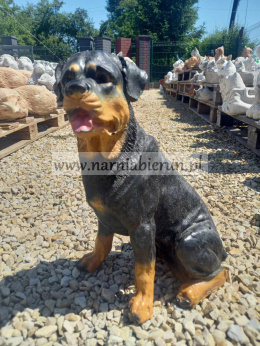 Figurka z żywicy Pies Piesek Rottweiler siedzący 35 cm