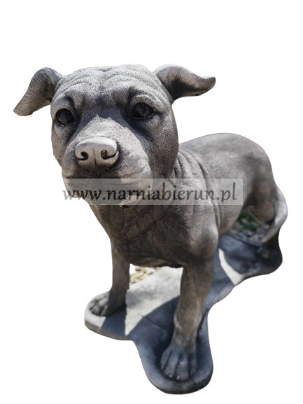 Figurka betonowa PIES Amerykański Staffordshire terrier Amstaff stojący 47 cm