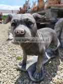 Figurka betonowa PIES Amerykański Staffordshire terrier Amstaff stojący 47 cm