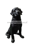 Figurka z żywicy Pies Labrador czarny 45 cm