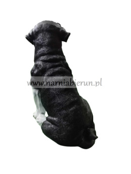 Figurka z żywicy Pies BULDOG MOPS 43 cm