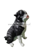 Figurka z żywicy Pies BULDOG MOPS 43 cm