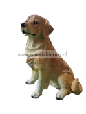 Figurka z żywicy Pies Piesek GOLDEN retriever 45 cm