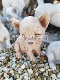 Figurka betonowa PIES CHIHUAHUA MAŁY 18 cm