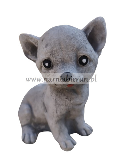 Figurka betonowa PIES CHIHUAHUA MAŁY 18 cm