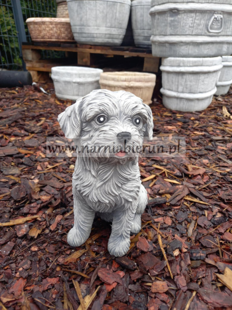 Figurka betonowa PIES SHIH TZU 26 cm