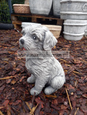 Figurka betonowa PIES SHIH TZU 26 cm