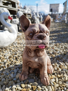 Figurka betonowa PIES BULDOG FRANCUSKI 27 cm