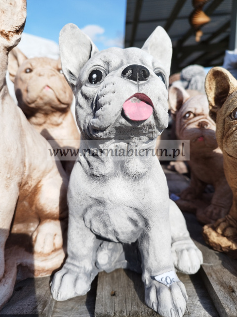 Figurka betonowa PIES BULDOG FRANCUSKI 27 cm