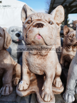 Figurka betonowa PIES BULDOG SIEDZĄCY 31 cm