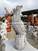 Figurka betonowa PAPUGA KAKADU 34 cm