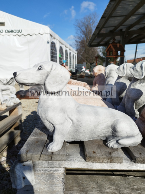 Figurka betonowa Pies piesek siedzący jamnik 37 cm