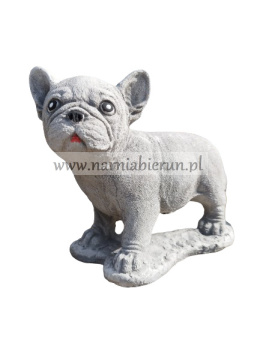 Figurka betonowa PIES BULDOG 28 cm